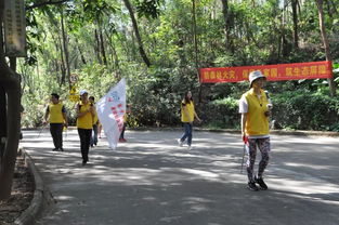 環(huán)保撿垃圾注意事項(xiàng)