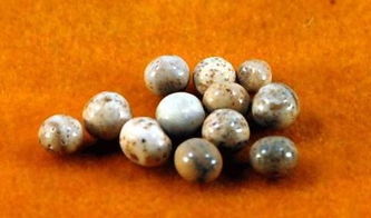 結(jié)緣舍利子注意事項,供養(yǎng)手印的注意事項,供養(yǎng)僧人注意事項