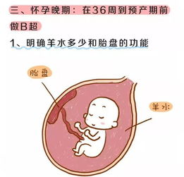 早孕做b超注意事項(xiàng)有哪些,做b超的注意事項(xiàng),早孕b超前注意事項(xiàng)