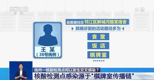 膽酸,合成,注意事項(xiàng)