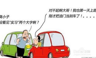 注意事項(xiàng),開(kāi)車(chē),天涯,新手