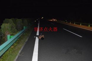 新手晚上跑高速注意事項,晚上跑高速注意事項開不開遠(yuǎn)光燈,晚上下雨跑高速注意事項