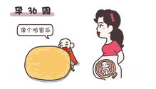 備孕注意事項(xiàng),高血壓高壓250注意事項(xiàng),備孕注意事項(xiàng)和準(zhǔn)備