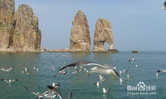 長(zhǎng)島,釣魚,注意事項(xiàng)