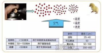 豬群免疫注意事項(xiàng),飲水免疫注意事項(xiàng),球蟲免疫注意事項(xiàng)