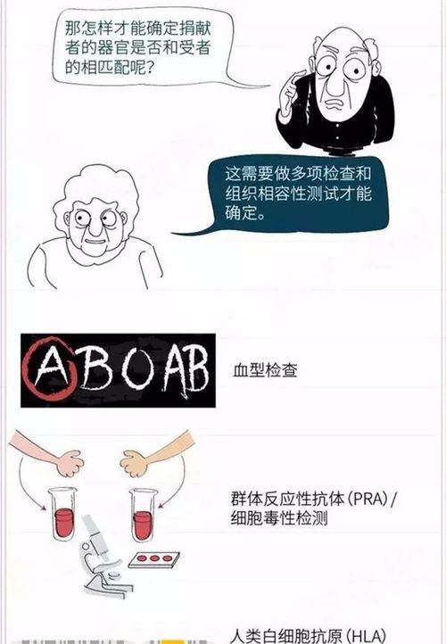 腎移植前注意事項(xiàng)