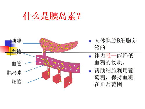 胰島素,注射,注意事項(xiàng),ppt