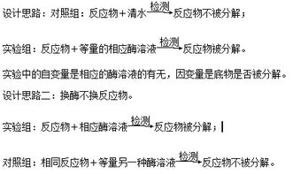 測量,注意事項(xiàng),實(shí)驗(yàn)