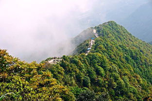 過(guò)夜,注意事項(xiàng),梧桐山