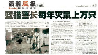 殺蟲,注意事項(xiàng),酒店