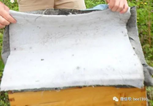 新手養(yǎng)蜂注意事項,陽臺養(yǎng)蜂注意事項,塑料桶養(yǎng)蜂注意事項