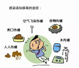 躲星順星的注意事項(xiàng),躲星的注意事項(xiàng),初八躲星注意事項(xiàng)