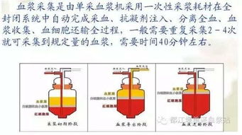 獻(xiàn)血漿前后的注意事項(xiàng)