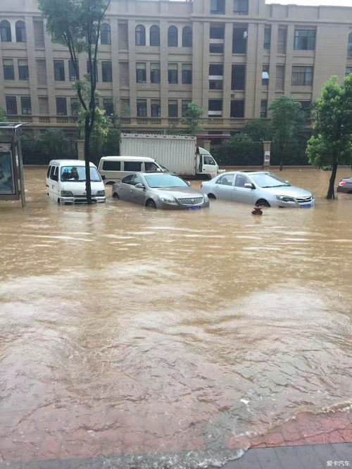 暴雨,臺風(fēng),注意事項,行車