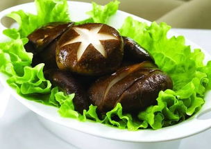 香菇養(yǎng)菌注意事項(xiàng)