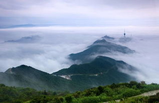 爬梧桐山的注意事項(xiàng),登梧桐山注意事項(xiàng),包雞過(guò)夜注意事項(xiàng)