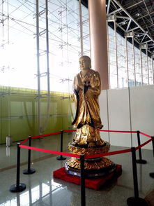 注意事項(xiàng),過(guò)程