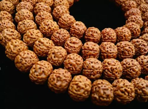 菩提,注意事項(xiàng),金剛