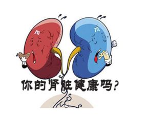 腎炎,注意事項(xiàng)