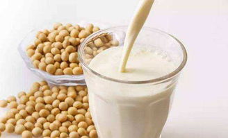 煮豆?jié){注意事項(xiàng)是什么,打豆?jié){注意事項(xiàng),豆?jié){注意事項(xiàng)是什么