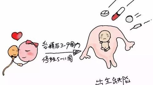 注意事項,早孕,藥流后