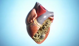 冠脈支架術(shù)前注意事項(xiàng)