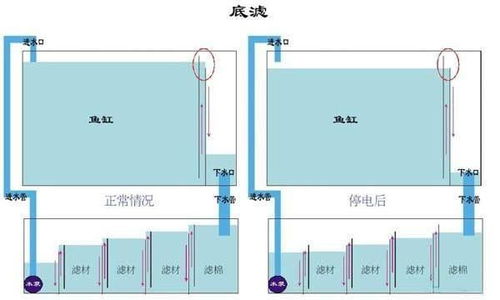 魚缸底濾改造注意事項(xiàng)