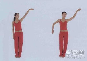 要領(lǐng),注意事項(xiàng),肚皮舞