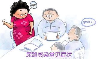 要注意,事項(xiàng),腎移植