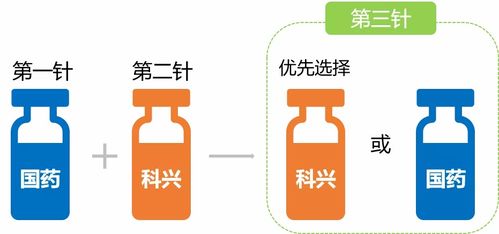 動(dòng)物免疫接種的方法及注意事項(xiàng),免疫接種的注意事項(xiàng),簡述免疫接種的注意事項(xiàng)