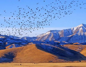 高原,注意事項,地區(qū),旅游