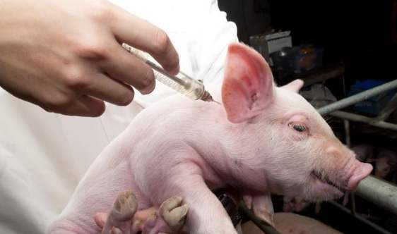 宮頸癌疫苗注意事項,宮頸預(yù)苗注意事項,疫苗接種后注意事項