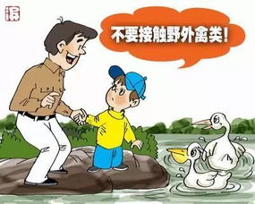傳染病標(biāo)本注意事項