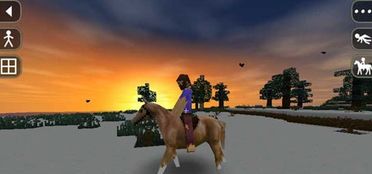 注意事項,生存,戰(zhàn)爭