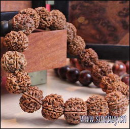 盤(pán)玩小金剛菩提注意事項(xiàng),新手玩金剛菩提的注意事項(xiàng),新手買(mǎi)金剛菩提注意事項(xiàng)