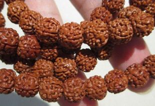 盤(pán)金剛菩提注意事項(xiàng)