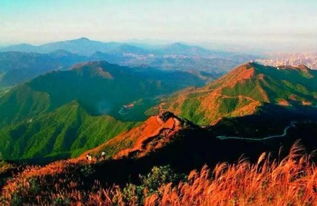 爬梧桐山的注意事項,梧桐山登山路線圖,梧桐山登山口