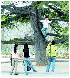 幼兒園春游注意事項(xiàng),幼兒園注意事項(xiàng)和安全,幼兒園春游安全注意事項(xiàng)