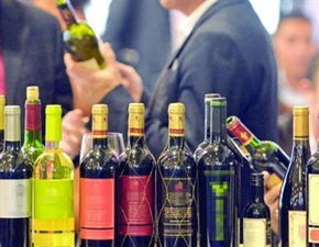 旅客乘機(jī)過程及注意事項,罪犯旅客乘機(jī)注意事項,簡述旅客乘機(jī)的注意事項