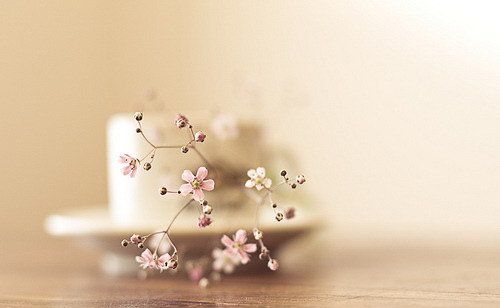 手術(shù)臺上，老公放棄了我