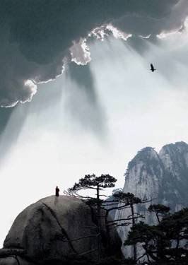 葉子的離開，并不是風(fēng)的追求，更不是樹的不挽