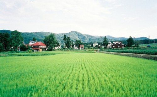 很簡單的一個(gè)故事，看完你會(huì)懂愛的真諦！