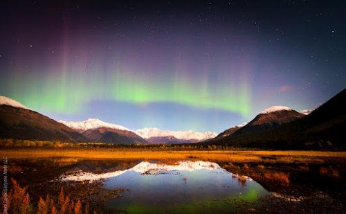 許鹿希：有一種愛情叫“國家機密”