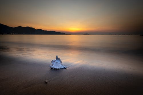 人教版五年級(jí)上冊(cè)八單元作文我愛看的革命影視作品《紅巖》