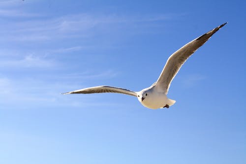 上海一位父親立下遺囑：女兒，你的孝心只值1塊錢