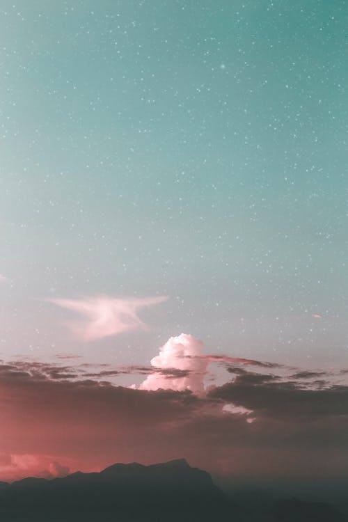 贊美松樹的詩句