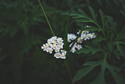 《雙調(diào)·水仙子·譏時(shí)》原文及注解
