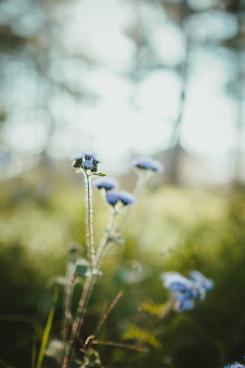 大染坊經(jīng)典臺詞 大染坊經(jīng)典臺詞