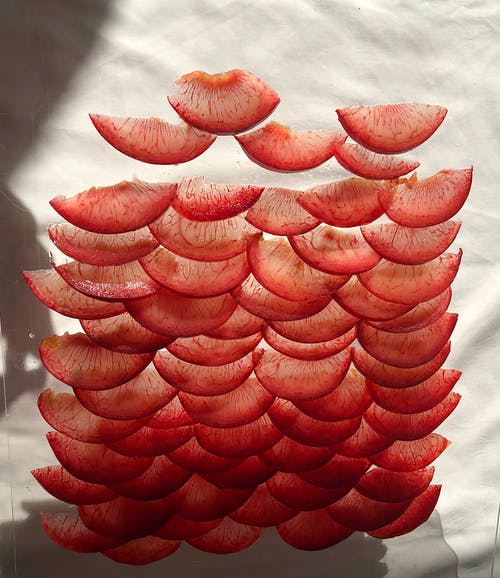 西游我的徒弟太逆天男主角任元小說在線閱讀 西游我的徒弟太逆天男主角任元小說在線閱讀