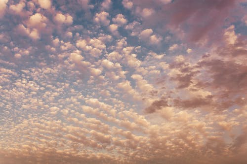 【合集】詩(shī)歌作文集合10篇